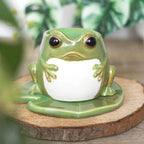 Quemador de aceites esenciales en forma de rana sobre nenúfar decoración aesthetic para el hogar vista frontal sobre escritorio con decoración el rededor.