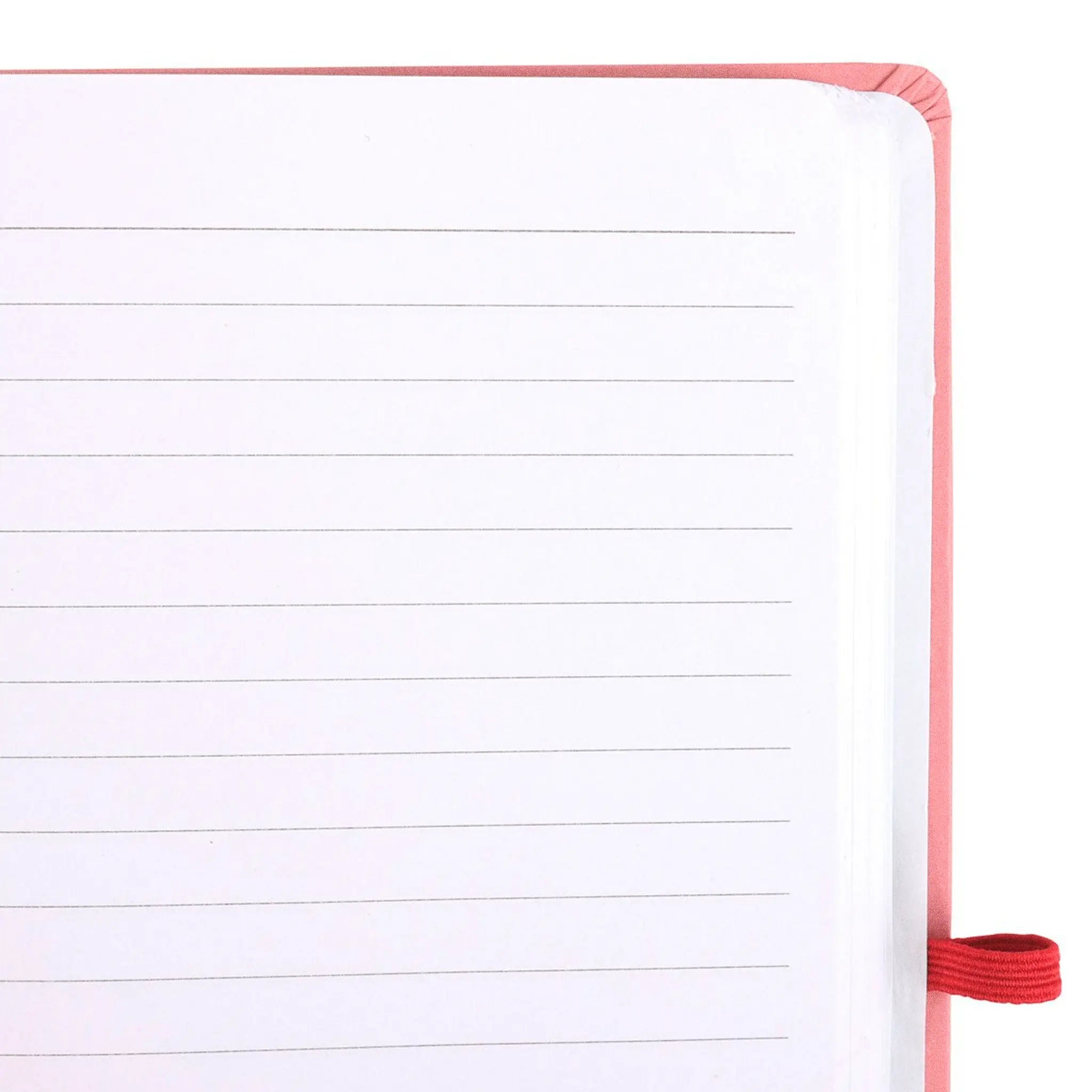"The Sun Gratitude Journal" Notebook