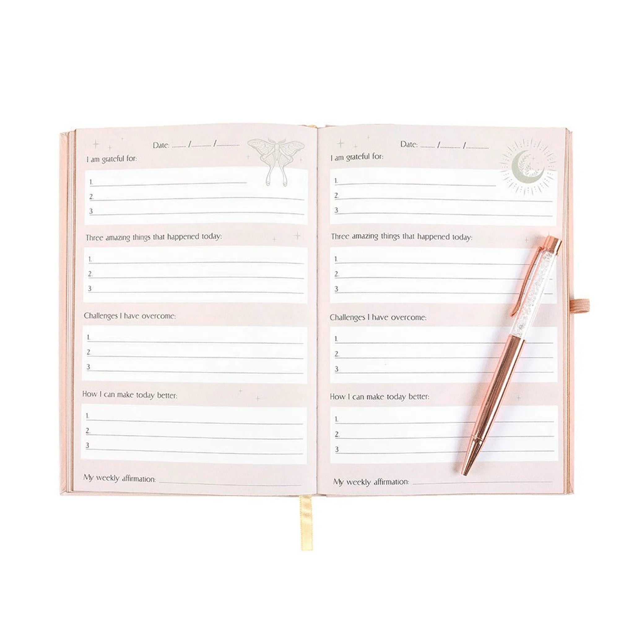 "Luna Moth Daily Reflection" Journal