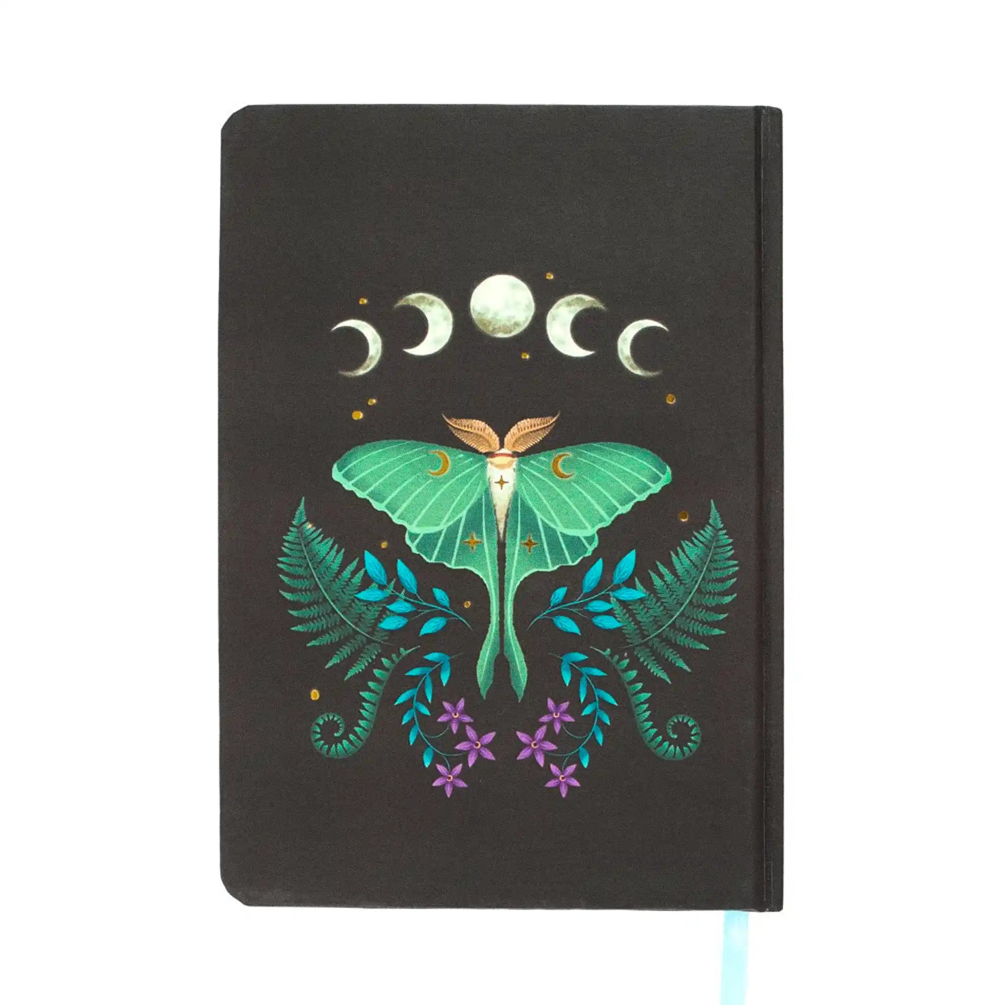 Parte posterior de libreta tamaño a5 con ilustración de polilla, lunas y helechos.