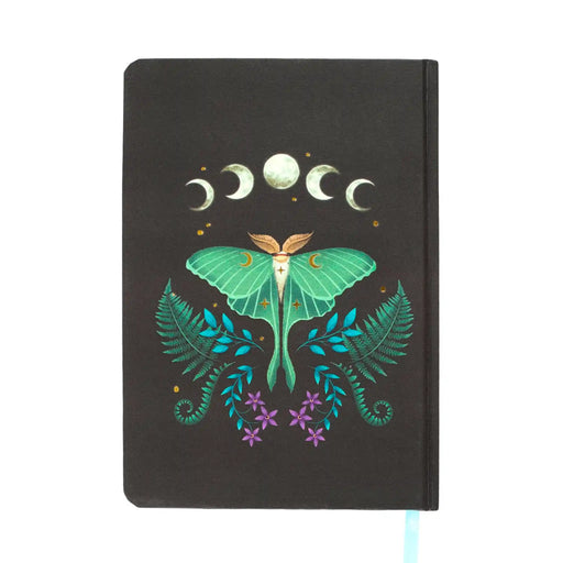 Parte posterior de libreta tamaño a5 con ilustración de polilla, lunas y helechos.