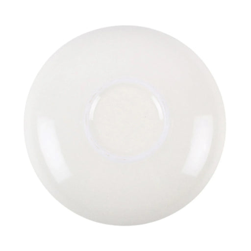 Plato joyero redondo con diseño de polilla verde y marrón y fases lunares en acabado metalizado dorado vista de la parte de abajo sobre fondo blanco.